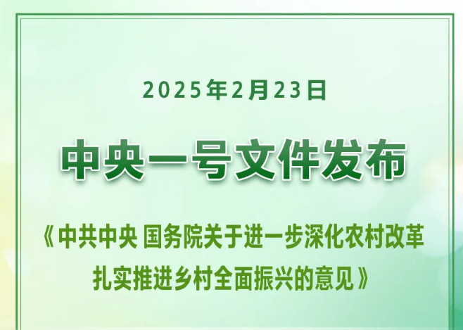 中央一号文件政策加持 乡村闲置农房租赁合规发展新赛道
