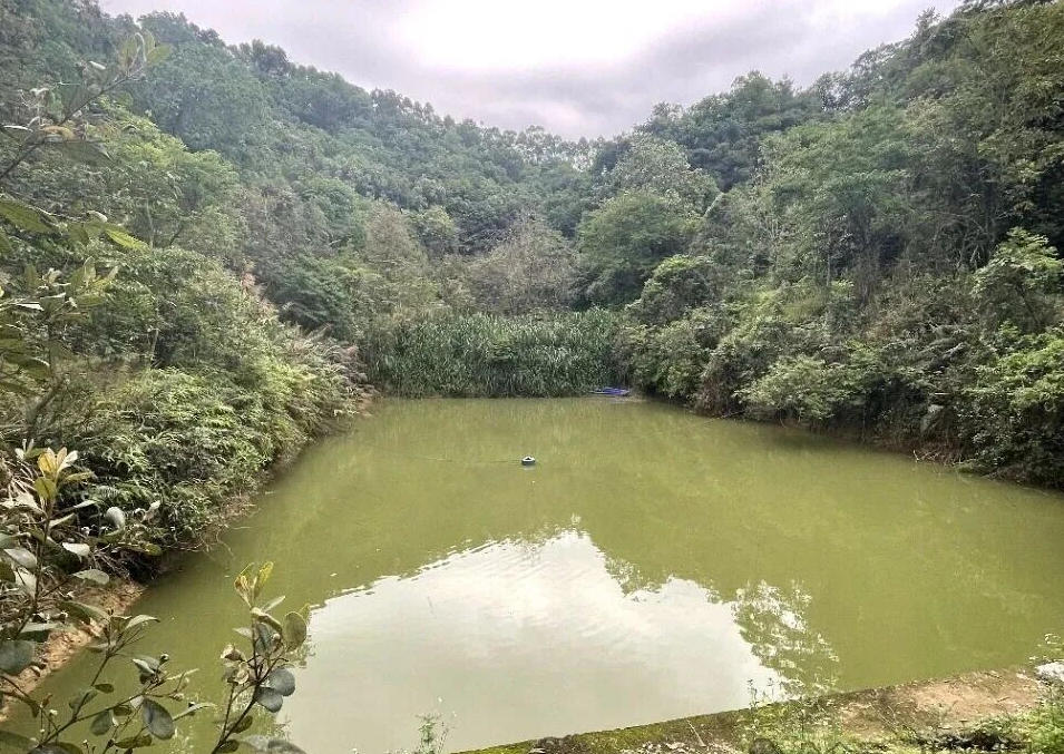 生态山庄出租 生态山庄出租