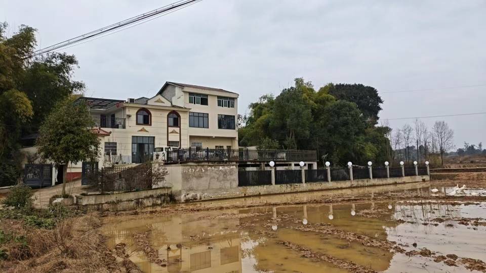 广安邻水九龙镇新修小别墅带院子带鱼塘农田出租