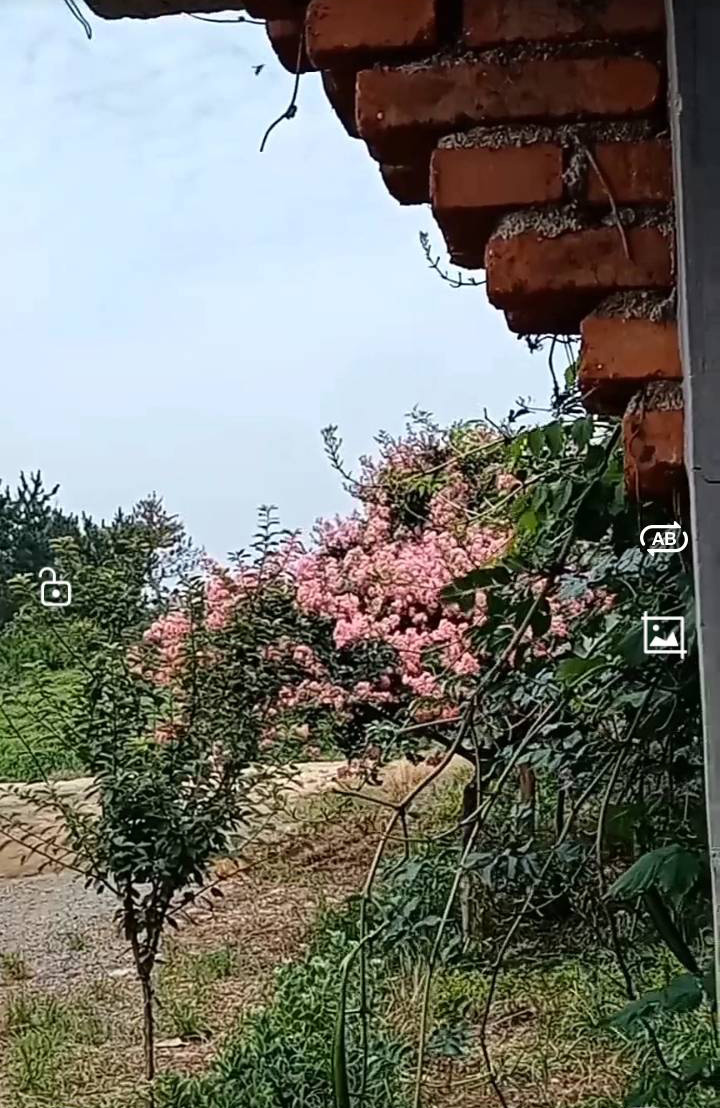 自建房出租
