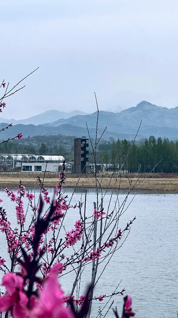 湖景房