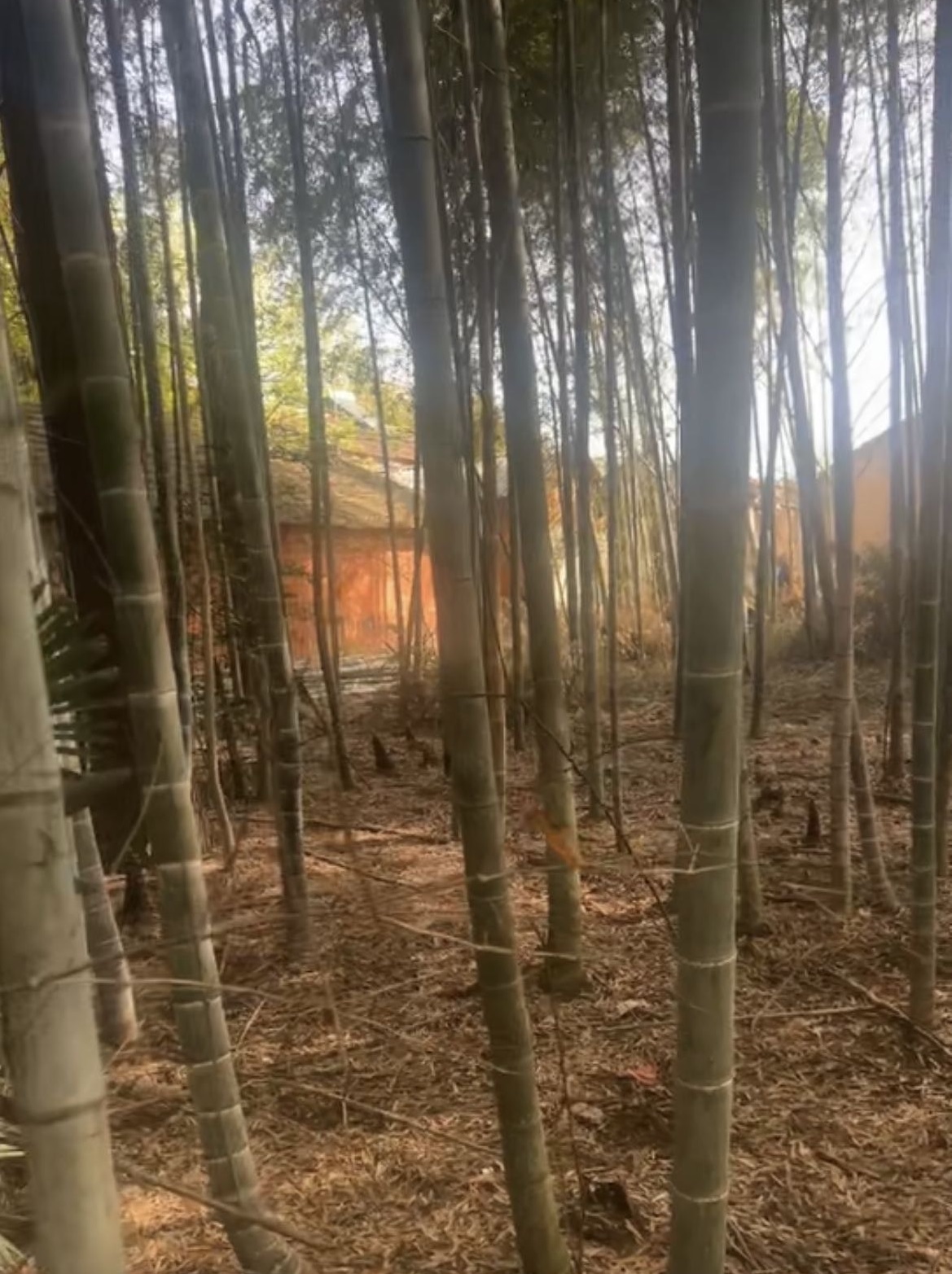 安徽宣城500平宅基地