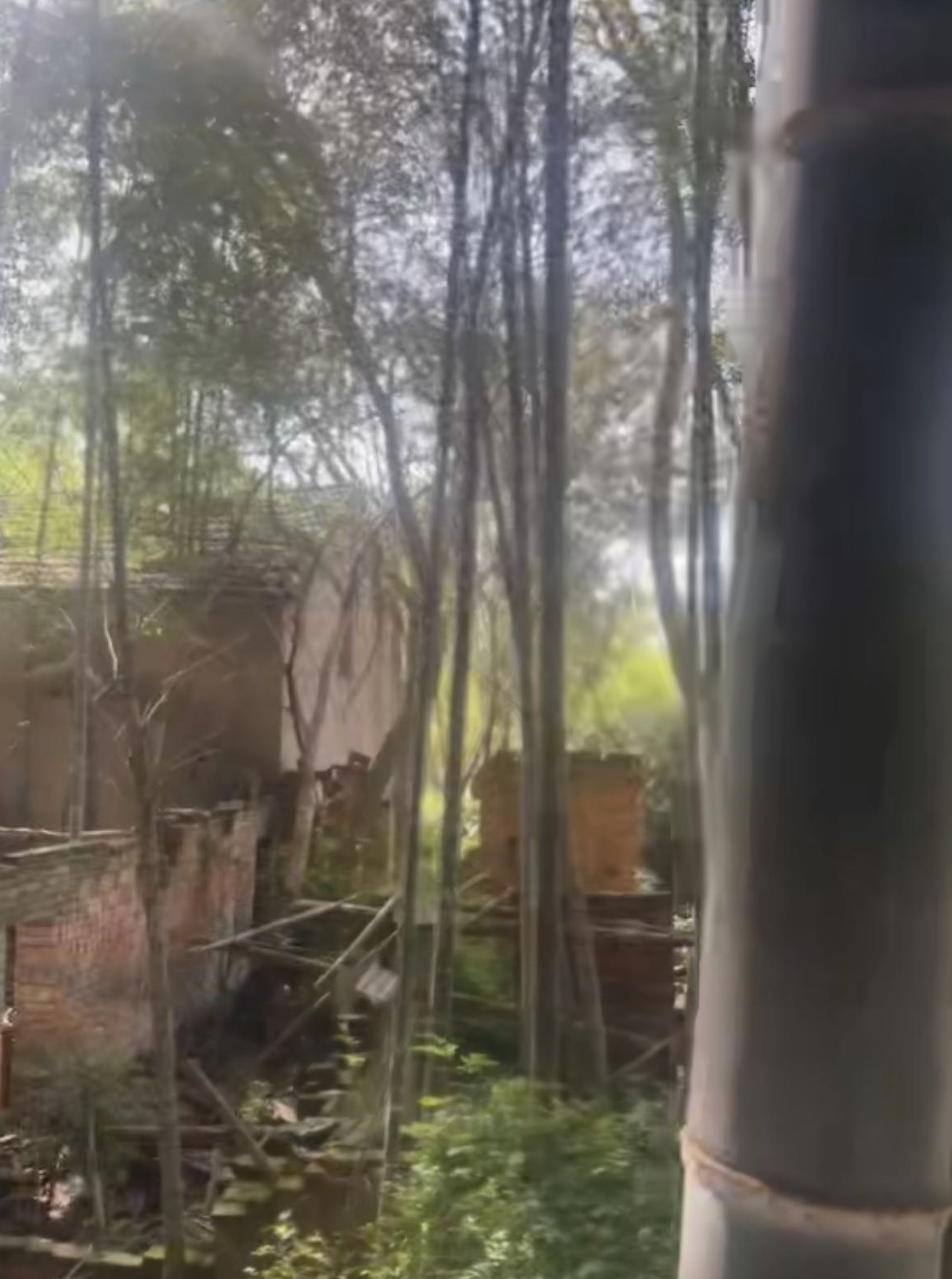 安徽宣城500平宅基地