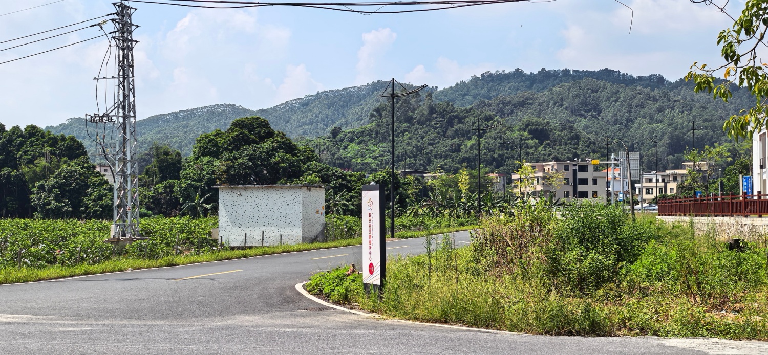 广州市增城区自建房无中介出租