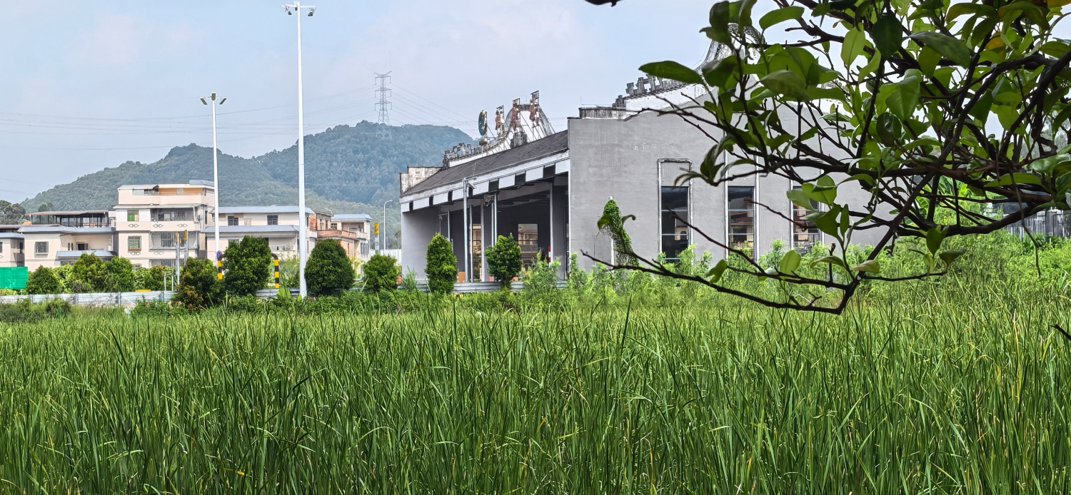 广州市增城区自建房无中介出租