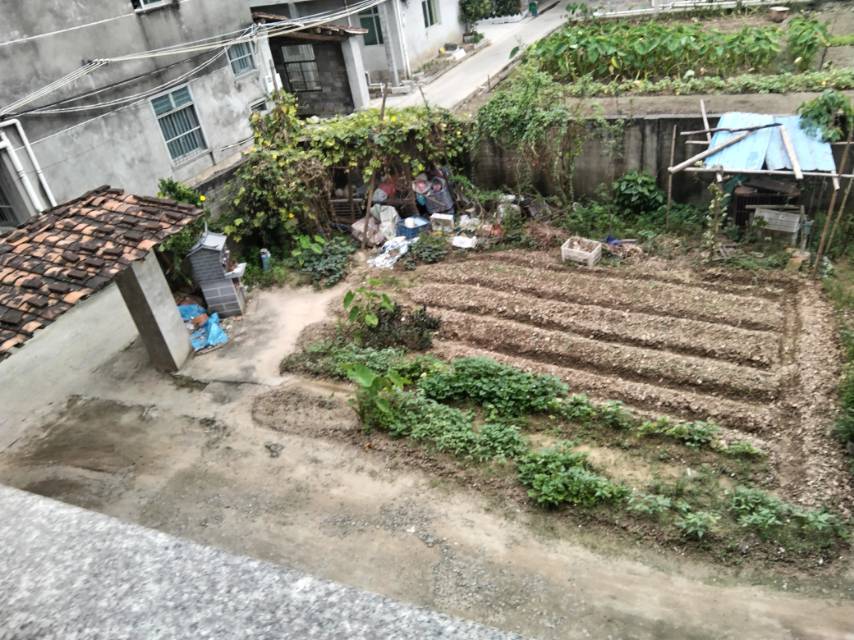 莆田市南北通透，城市旁边农房出租，坐拥乡