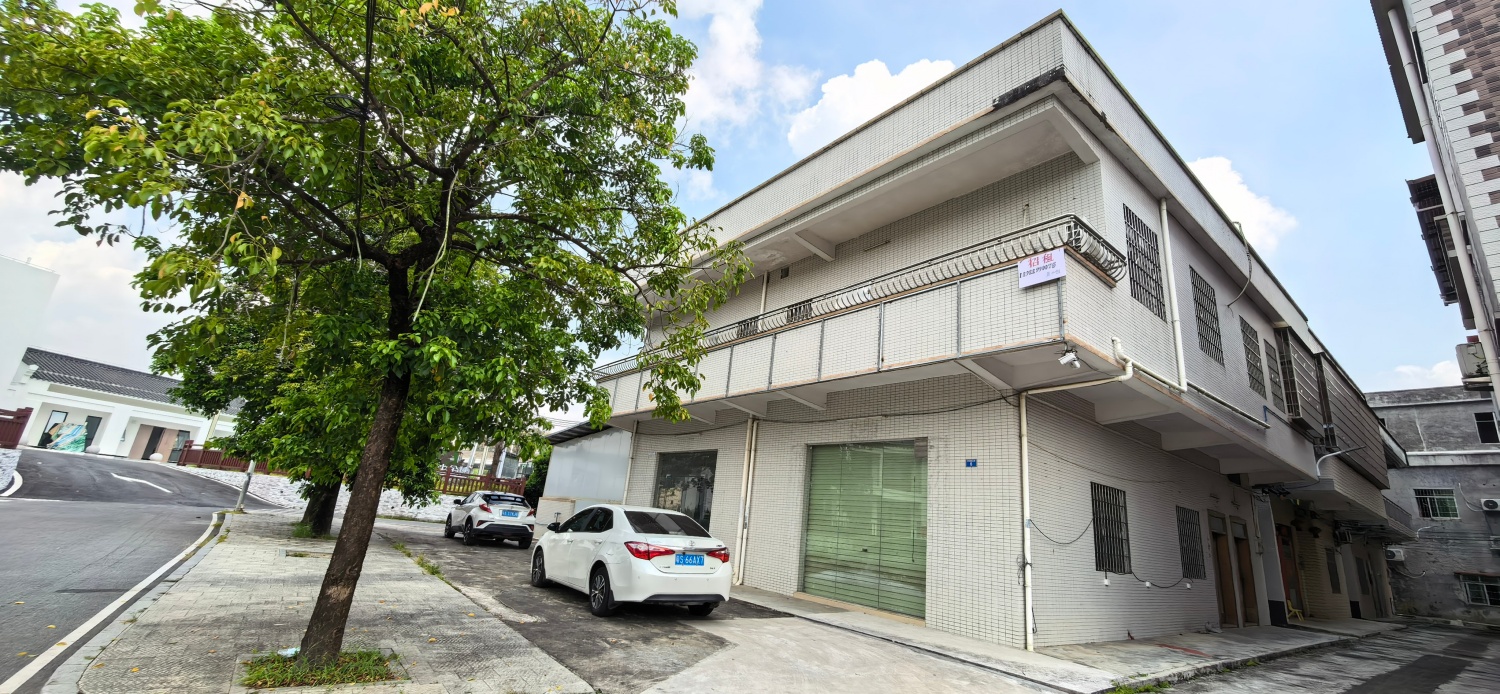 广州市增城区自建房无中介出租