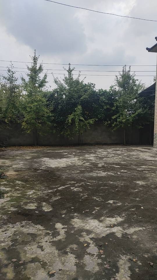 龙泉驿小院出租