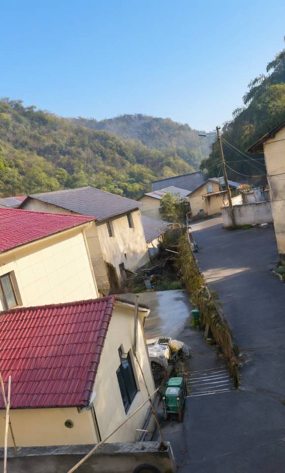 杭州市临安