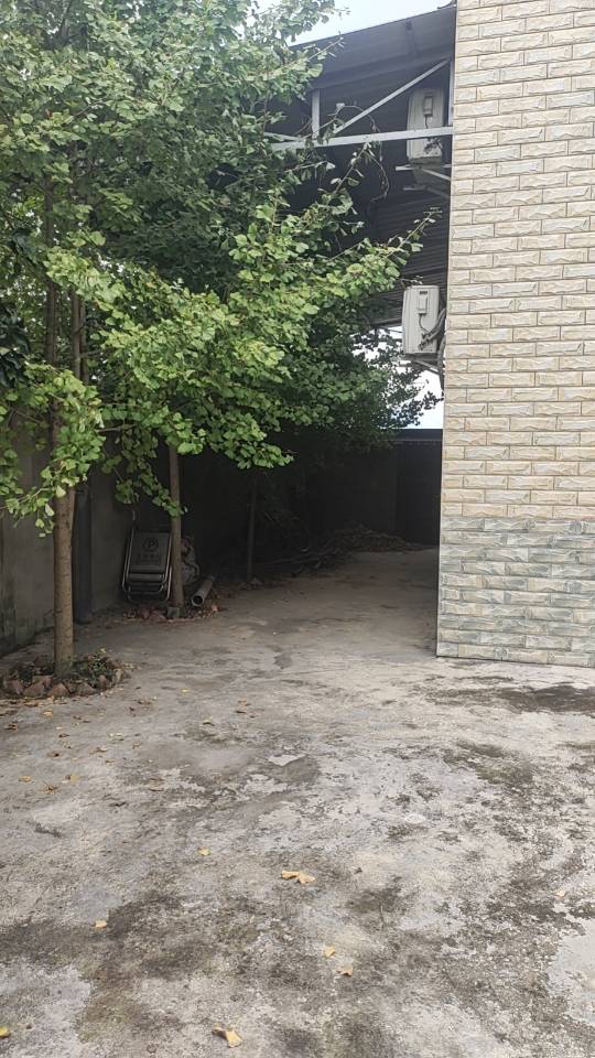 龙泉驿小院出租